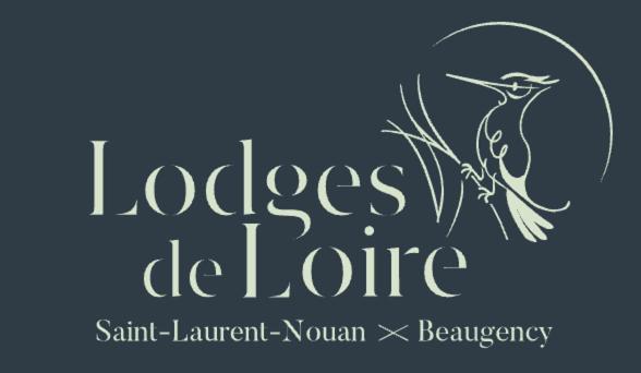 Lodge De Loire - B & B Proche Chambord Saint-Laurent-Nouan エクステリア 写真